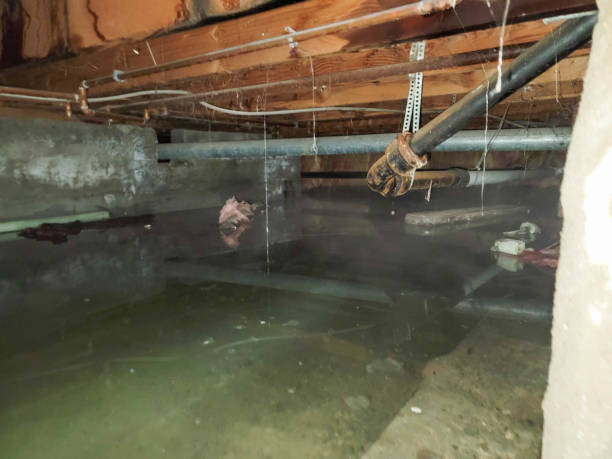 Water damage restoration process in Salamanca, NY