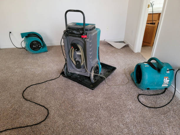 Best Sewage cleanup and water damage restoration  in Salamanca, NY