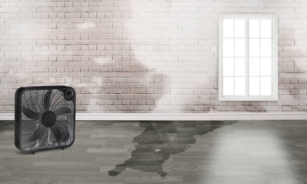 Best Emergency water damage restoration  in Salamanca, NY