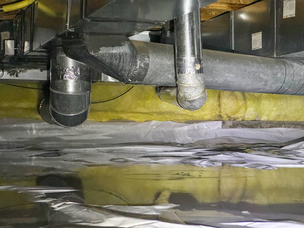 Best Water damage restoration near me  in Salamanca, NY