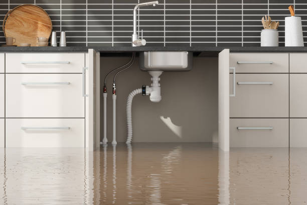 Best Water damage cleanup near me  in Salamanca, NY