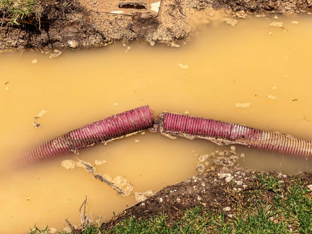 Best Water damage contractors near me  in Salamanca, NY