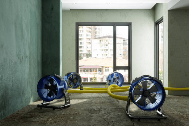 Best Emergency water damage restoration  in Salamanca, NY